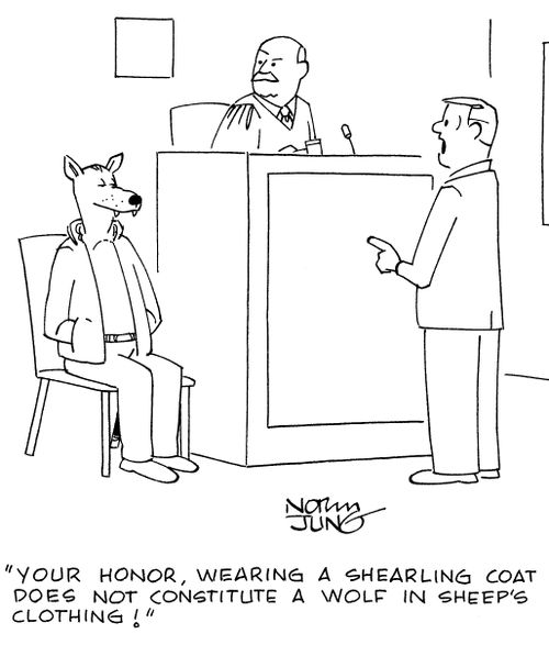 "Your honor, wearing a shearling coat does not constitute a wolf in sheep's clothing!"