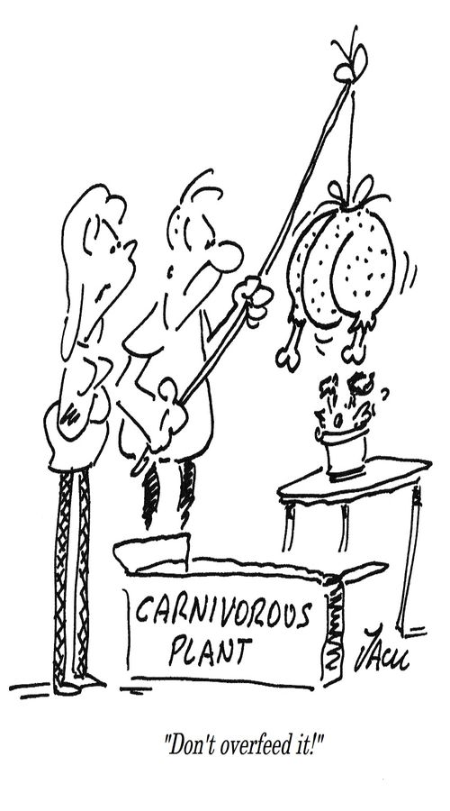 "Don't overfeed it!"