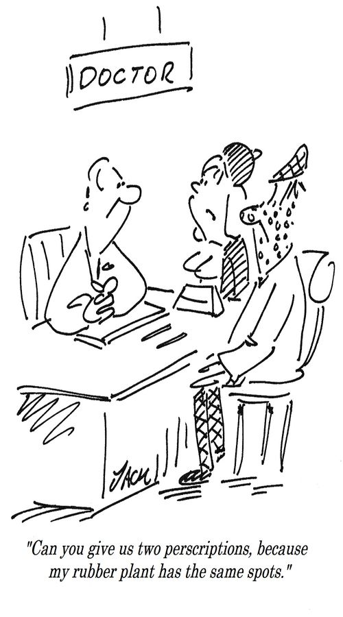"Can you give us two prescriptions, because my rubber plant has the same spots."