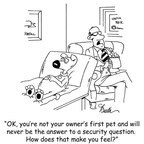 "OK, you're not your owner's first pet and will never be the answer to a security question. How does that make you feel?"