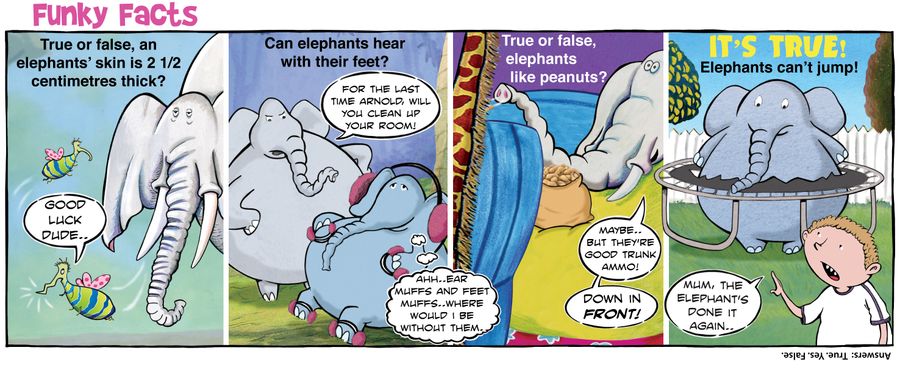 Funky Facts: Elephants.
