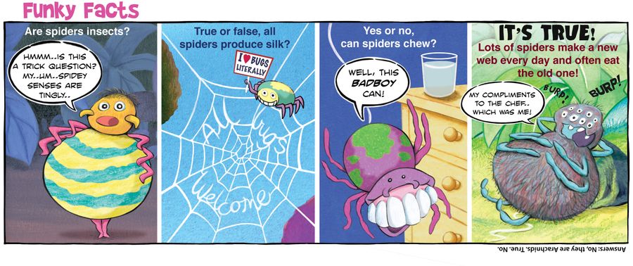 Funky Facts: Spiders.