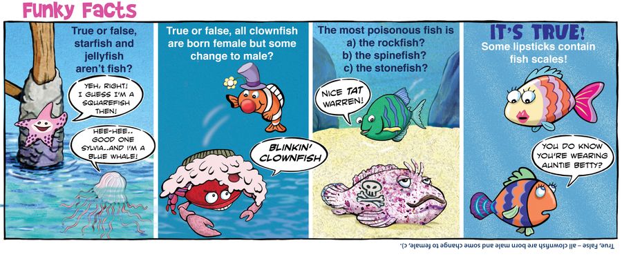 Funky Facts: Sea Animals.