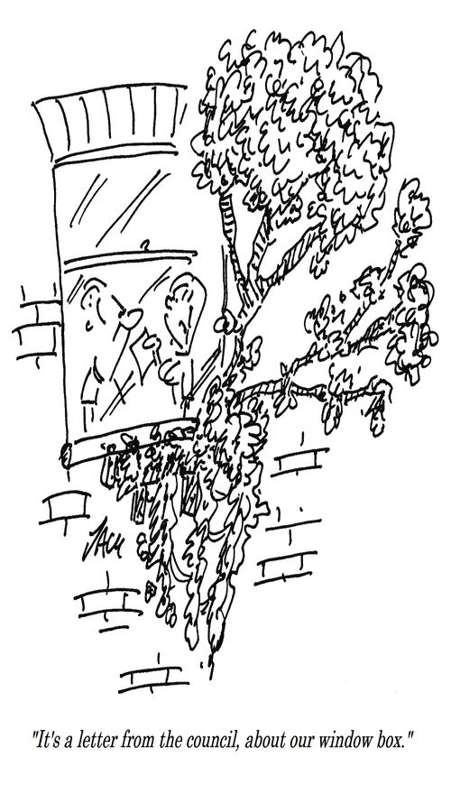 "It's a letter from the council, about our window box."