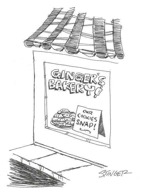 Ginger's bakery: Our Cookies Snap!