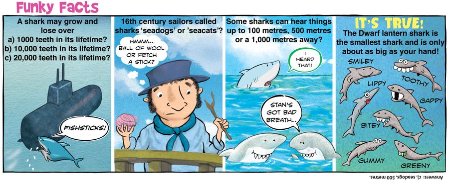 Funky Facts: Sharks.