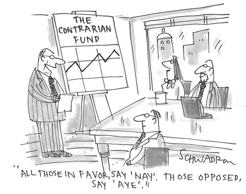 The Contrarian funds