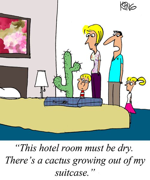 "This hotel room must be dry. There's a cactus growing out of my suitcase."