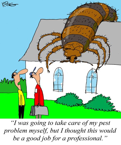 "I was going to take care of my pest problem myself, but I though this would be a good job for a professional."