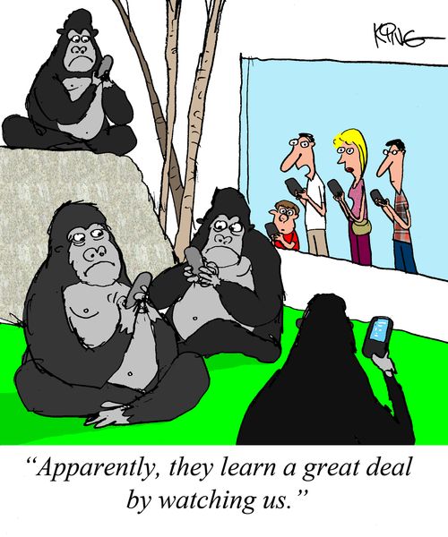 "Apparently, they learn a great deal by watching us."