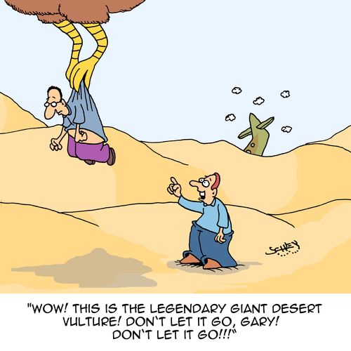 "Wow! This is the legendary giant desert vulture! Don't let it go, Gary! Don't let it go!!"