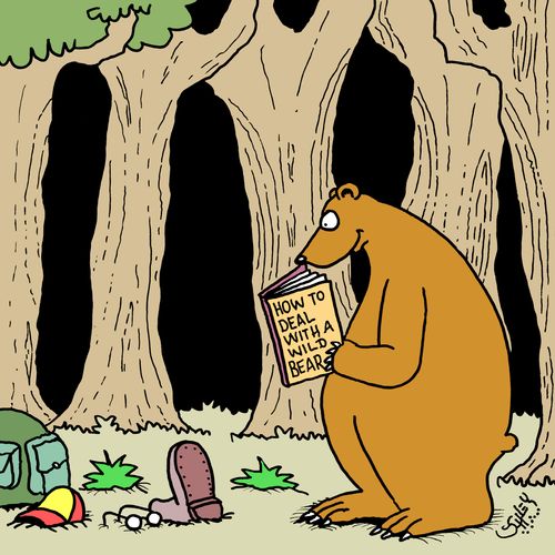 How to deal with a wild bear...