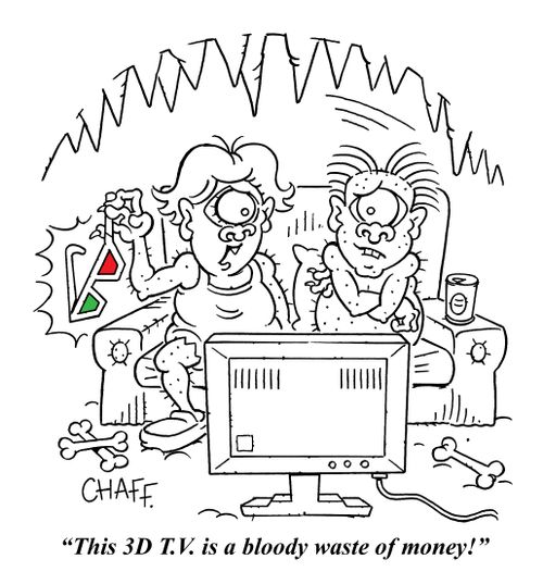 "This 3D T.V. is a bloody waste of money!"