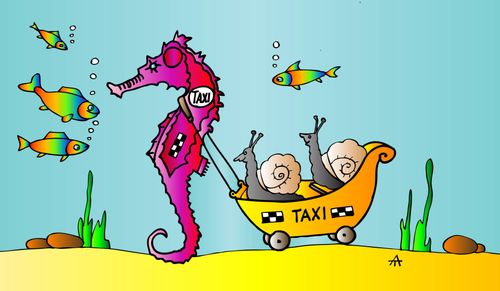 Taxi