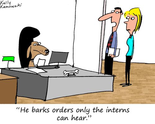 "He barks orders only the interns can hear."