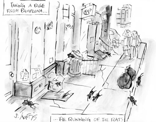 Taking a page from Pamplona...the running of the rats.