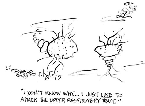 "I don't know why...I  just like to attack the upper respiratory tract."