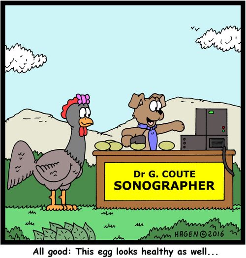 "All good: This egg looks healthy as well..."