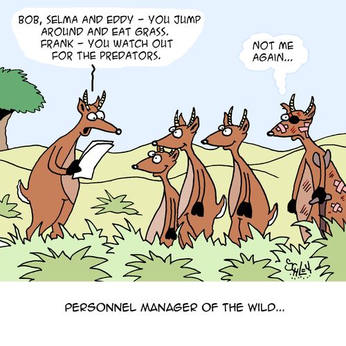 Personnel Manager of the Wild...