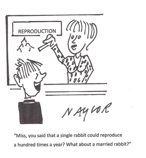 "Miss, you said that a single rabbit could reproduce a hundred times a year? What about a married rabbit?"