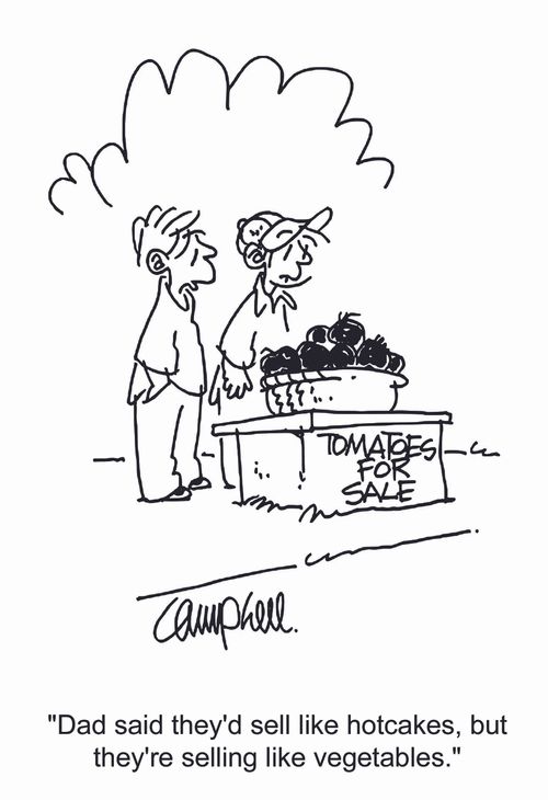 "Dad said they'd sell like hotcakes, but they're selling like vegetables."