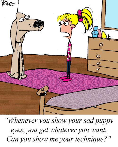 "Whenever you show your sad puppy eyes, you get whatever you want. Can you show me your technique?"