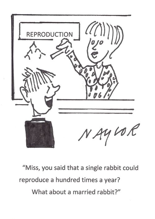 "Miss. you said that a single rabbit could reproduce a hundred times a year? What about a married rabbit?"