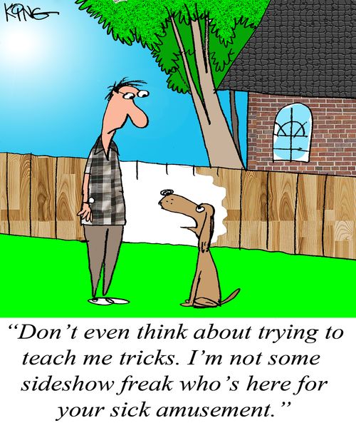 "Don't even think about trying to teach me tricks. I'm not some sideshow freak who's here for your sick amusement."