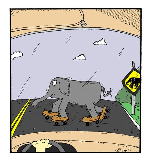 Elephant on skates crossing.
