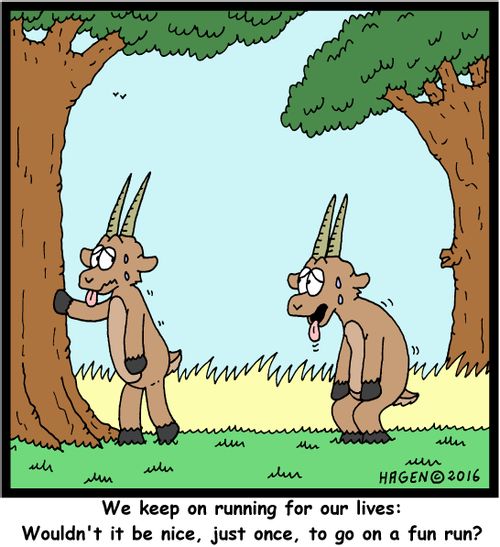 "We keep running for our lives: Wouldn't it be nice, just once, to go on a fun run?"
