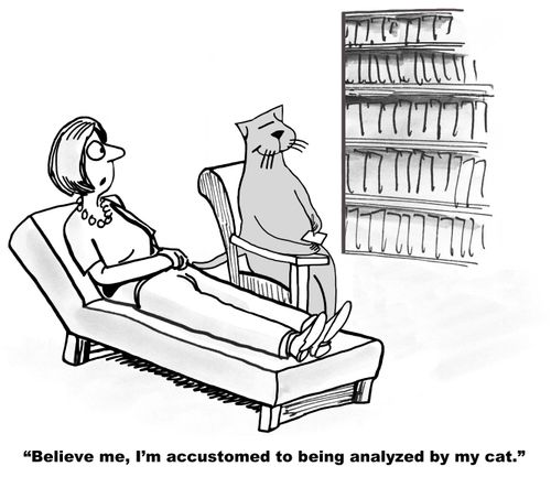 "Believe me, I'm accustomed to being analyzed by my cat."