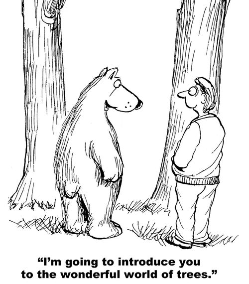 "I'm going to introduce you to the wonderful world of trees."
