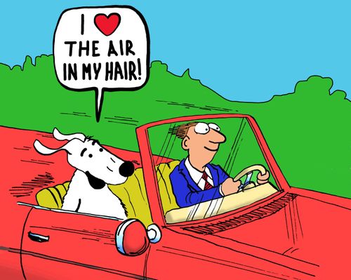 "I heart the air in my hair!"