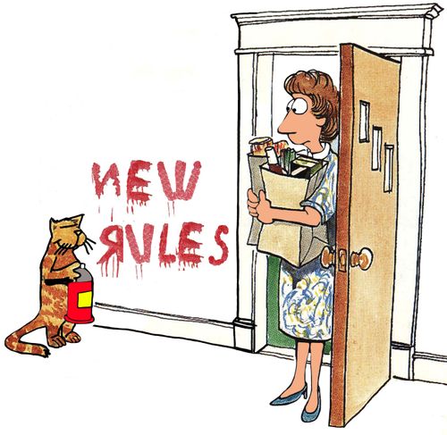 New Rules for the Household
