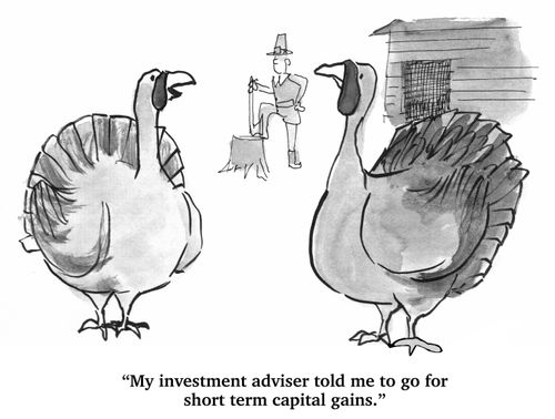 "My investment adviser told me to go for short term capital gains."