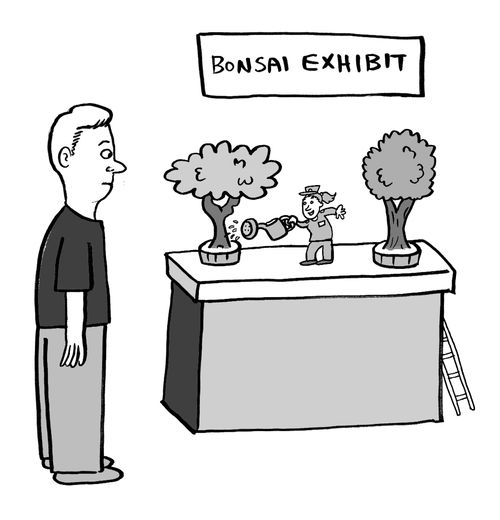 Bonsai Exhibit