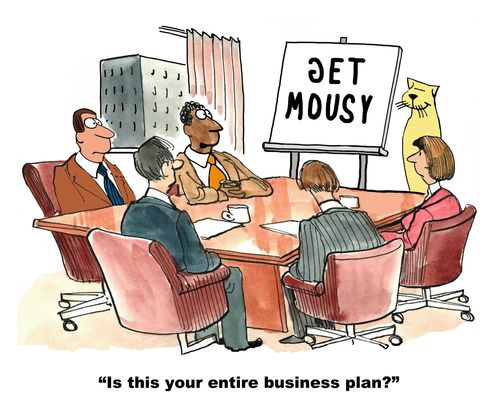 "Is this your entire business plan?"