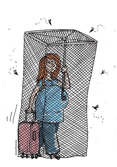 Zika virus and pregnant