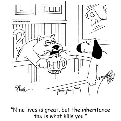 "Nine lives is great, but the inheritance tax is what kills you."