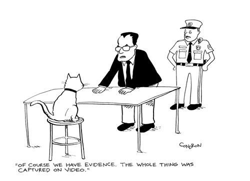 "Of course we have evidence. The whole thing was captured on video."