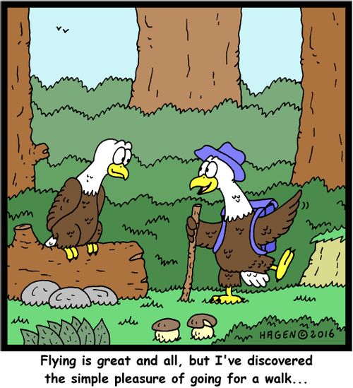 "Flying is great and all, but I've discovered the simple pleasure of going for a walk..."