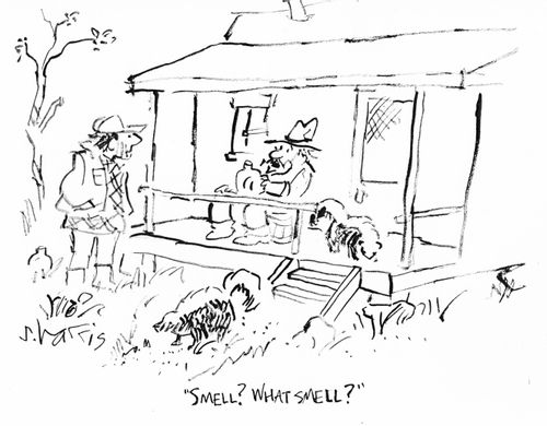 "Smell? What smell?"
