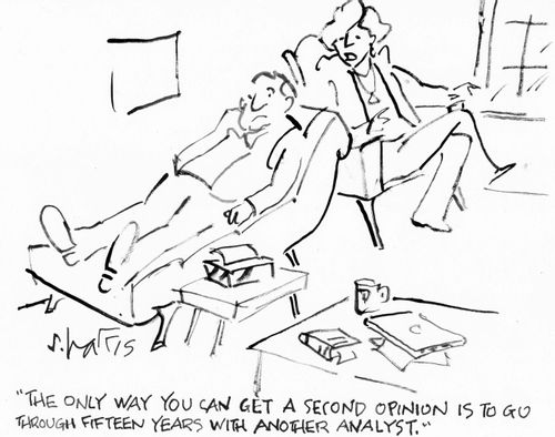 "The only way you can get a second opinion is to go through fifteen years with another analyst."
