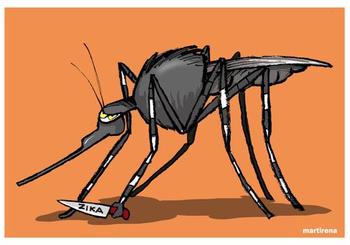 The Zika Virus