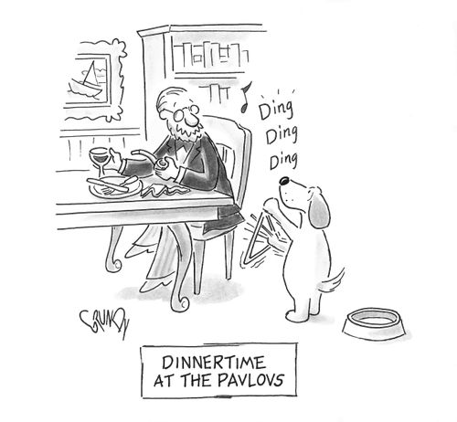 Dinnertime At The Pavlovs