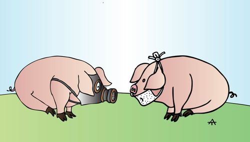 Swine flu