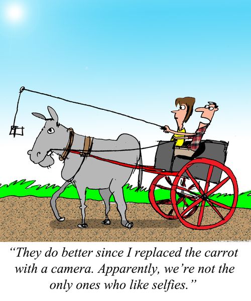 "They do better since I replaced the carrot with a camera.  Apparently, we're not the only ones who like selfies."