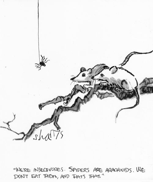 "We're insectivores. Spiders are  arachnids. We don't eat them, and that's that."