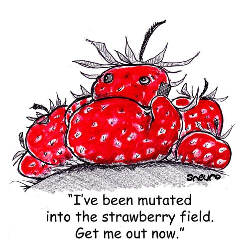 "I've been mutated into the strawberry field. Get me out now."