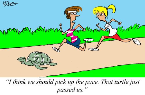 "I think we should pick up the pace. That turtle just passed us."